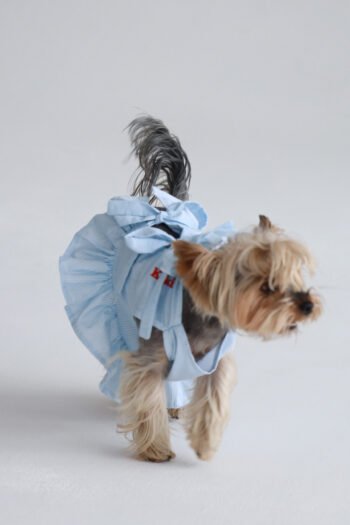 პიჟამო Moonlight cuddle ოთხფეხა მეგობრისთვის